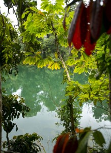 ATHERTON TABLELANDS
