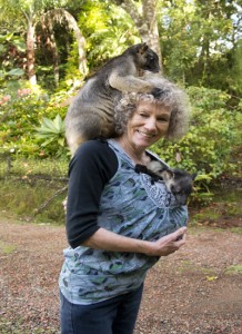 ATHERTON TABLELANDS
