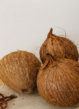coconut recipes