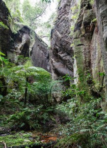 QUEENSLANDS CARNARVON GORGE