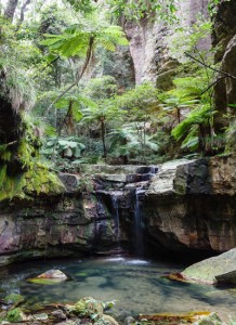 QUEENSLANDS CARNARVON GORGE