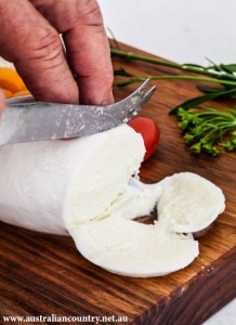 Cheese 1