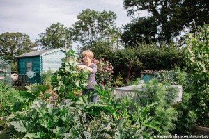 Garden 1