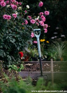 Garden 2