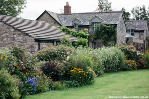 Garden 4
