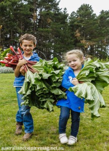 PADDOCK TO PLATE