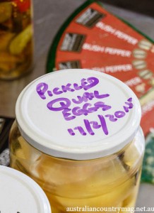 CHASING FLAVOURS WITH SALLY WISE