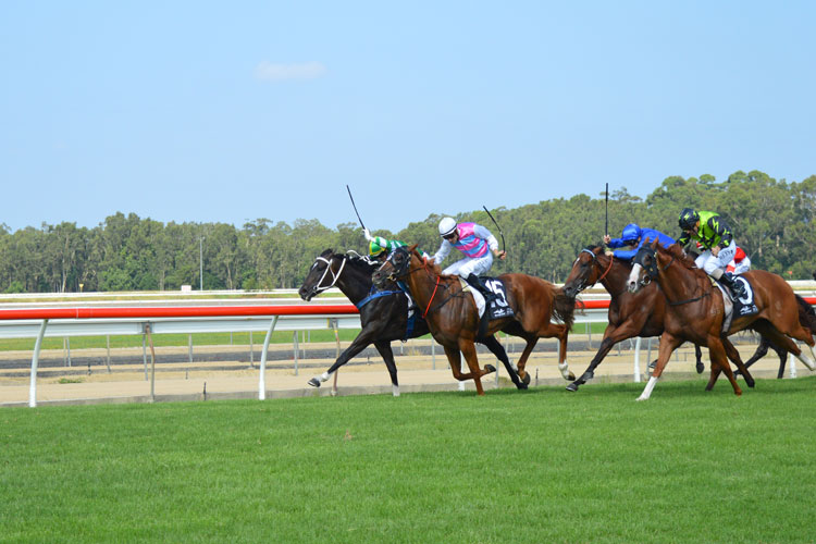 WYONG FAMILY FUN DAY RACES