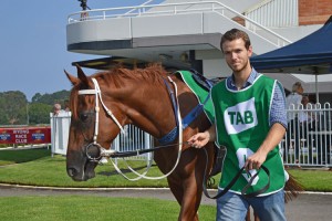 WYONG FAMILY FUN DAY RACES