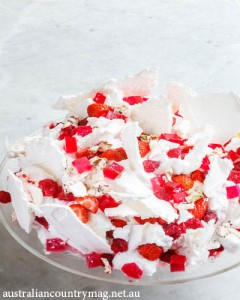 RECIPES BY SALLY WISE