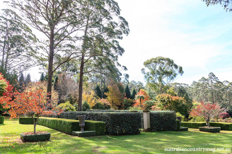 A WILD AND WONDERFUL GARDEN