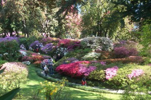 The gardens of Villa Carlotta