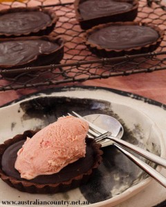Rhubarb and Chocolate Tarts