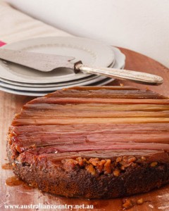 Rhubarb gingerbread cake