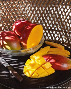 Mango Recipes