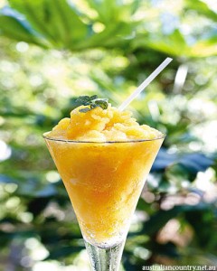 Mango Recipes