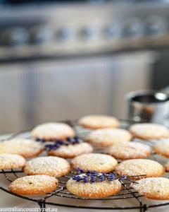 Lavender recipes