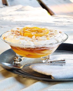 Mango Recipes