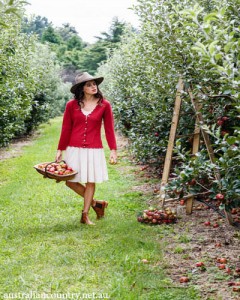 Harvest Fashion