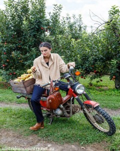 Harvest Fashion