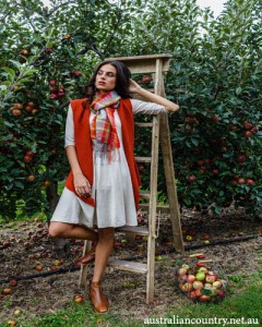 Harvest Fashion