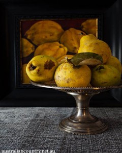 Quinces