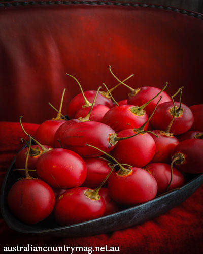 TASTY TAMARILLO RECIPES