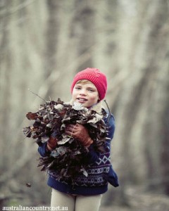 Winter's Tale