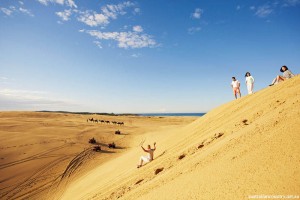NSW COAST AND COUNTRY