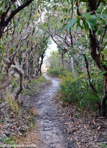 NSW COAST AND COUNTRY