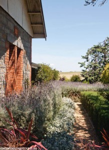 Barossa Valley