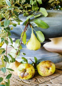 SUE CLOHESY’S STUNNING ROSE HARVEST MILDURA HOME
