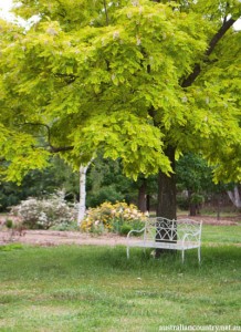 Tree change