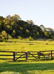 NSW COAST AND COUNTRY