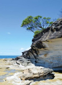 NSW COAST AND COUNTRY