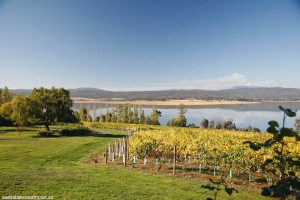 Tamar Valley
