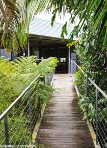 Macadamia Farm