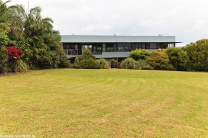 Macadamia Farm