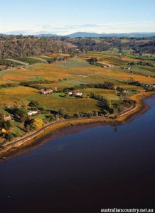 Tamar Valley