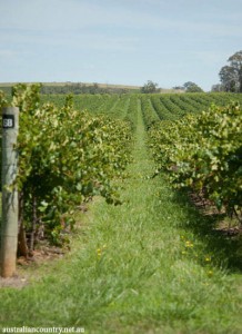 MUDGEE GETAWAY