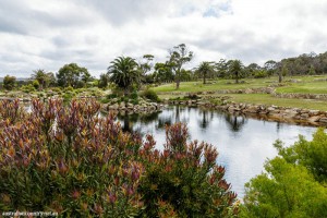 Garden 1