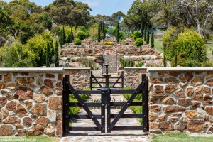 Garden 10