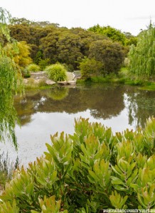 Garden 3