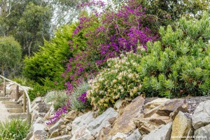 Garden 5