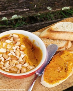 Pumpkin dip