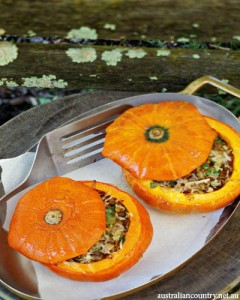 Stuffed pumpkin