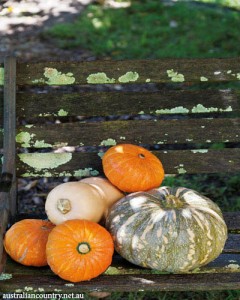 PUMPKIN RECIPES