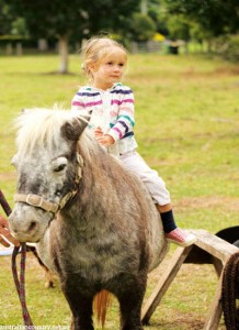 LIFE IN THE QUEENSLAND HORSE SADDLE