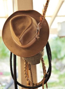 LIFE IN THE QUEENSLAND HORSE SADDLE