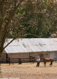 FLEURIEU PENINSULA RESTORATION